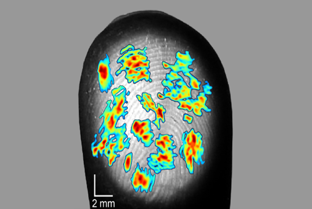 Fingertips are even more sensitive than we thought. (Jarocka et al., JNeurosci 2021)