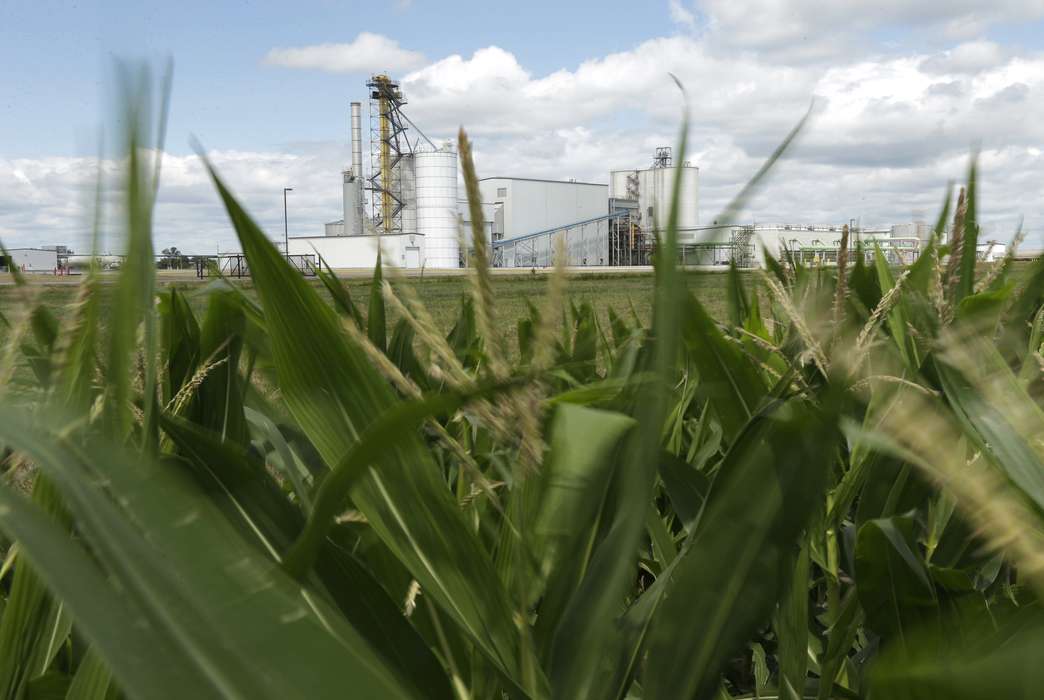 Biofuels' bad reputation may be undeserved. (AP Photo/Charlie Riedel, File)