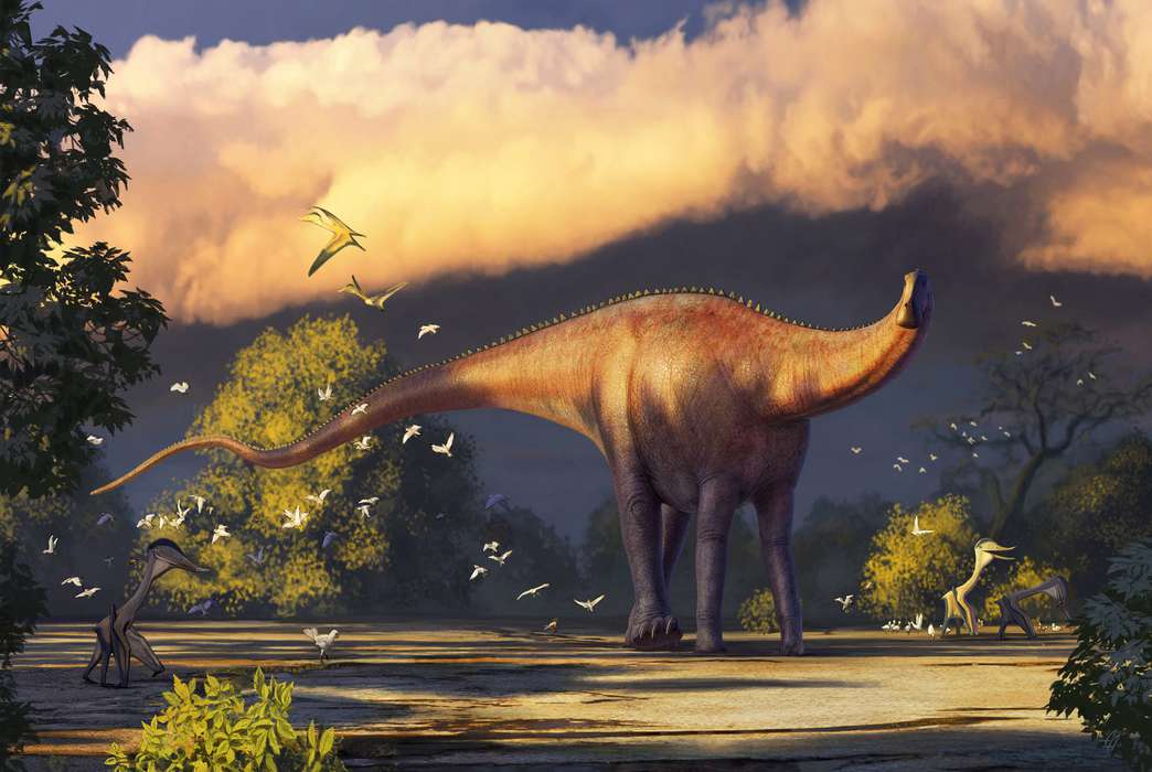 A diplodocus relative has been unearthed. (Alexander Averianov)