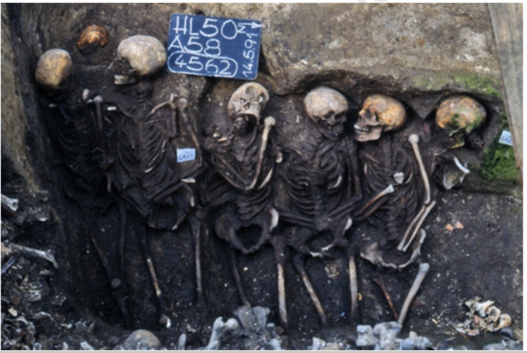 A mass grave in Germany showed no signs of Black Plague. (M. Hallen)