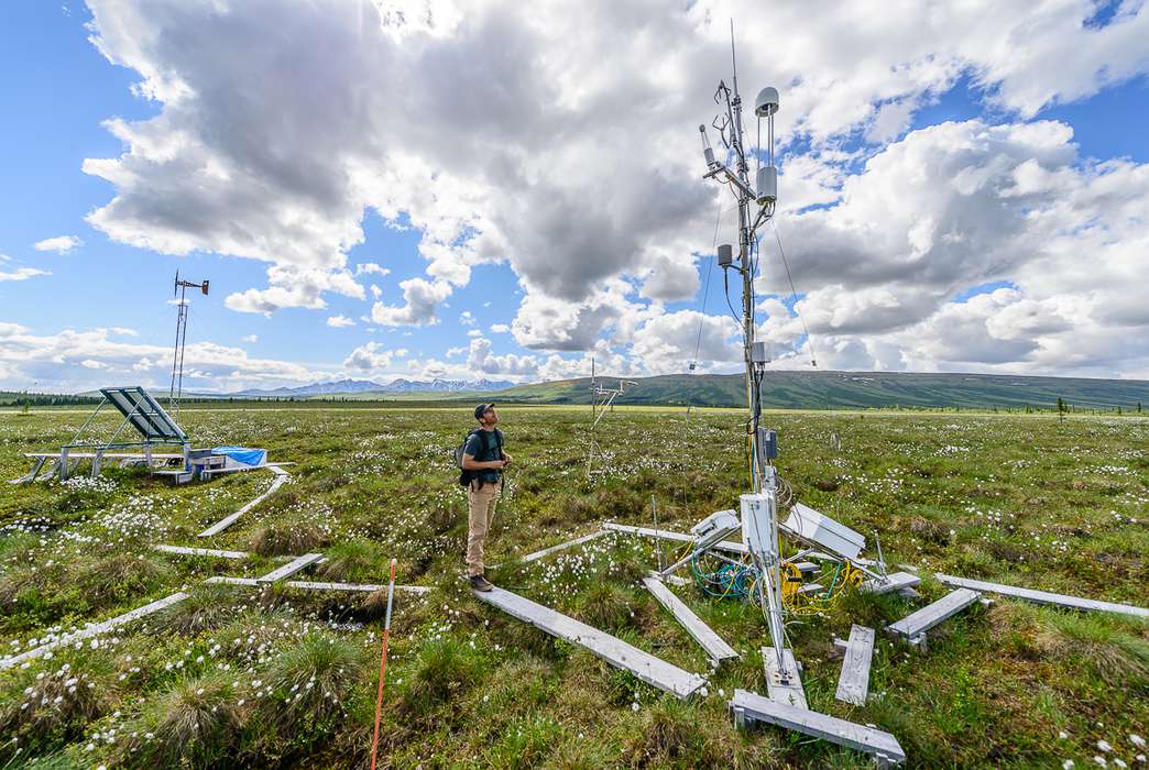 Northern Arizona University professor Ted Schuur stands near an eddy covariance tower in a tundra landscape near Denali National Park, Alaska, where his research team studied the carbon flow of permafrost. (Thomas Nash)