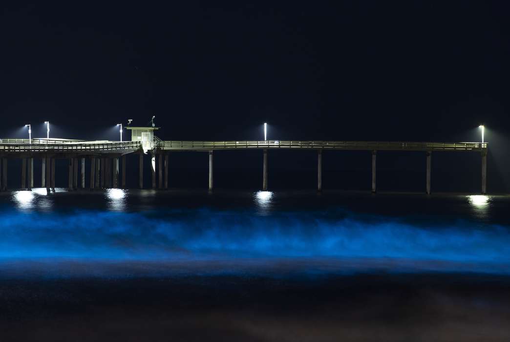 Bioluminescence is beautiful at the beach, and now it'll help detect buried explosives.