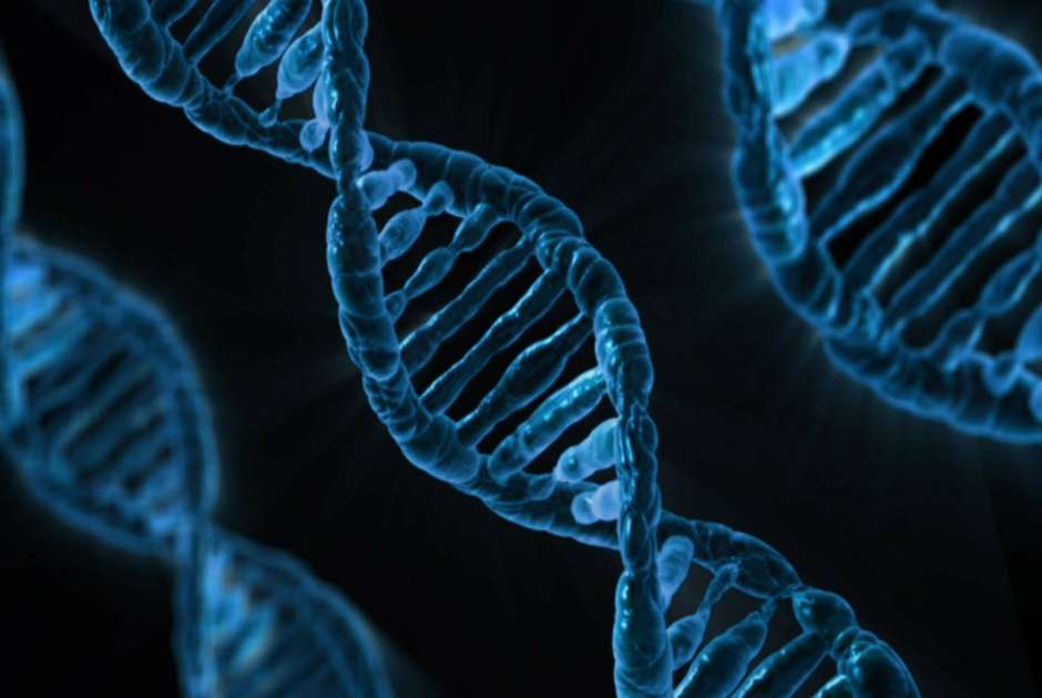 Cells can take damage from being squeezed, not broken, new research shows. (Pixabay/PublicDomainPictures)