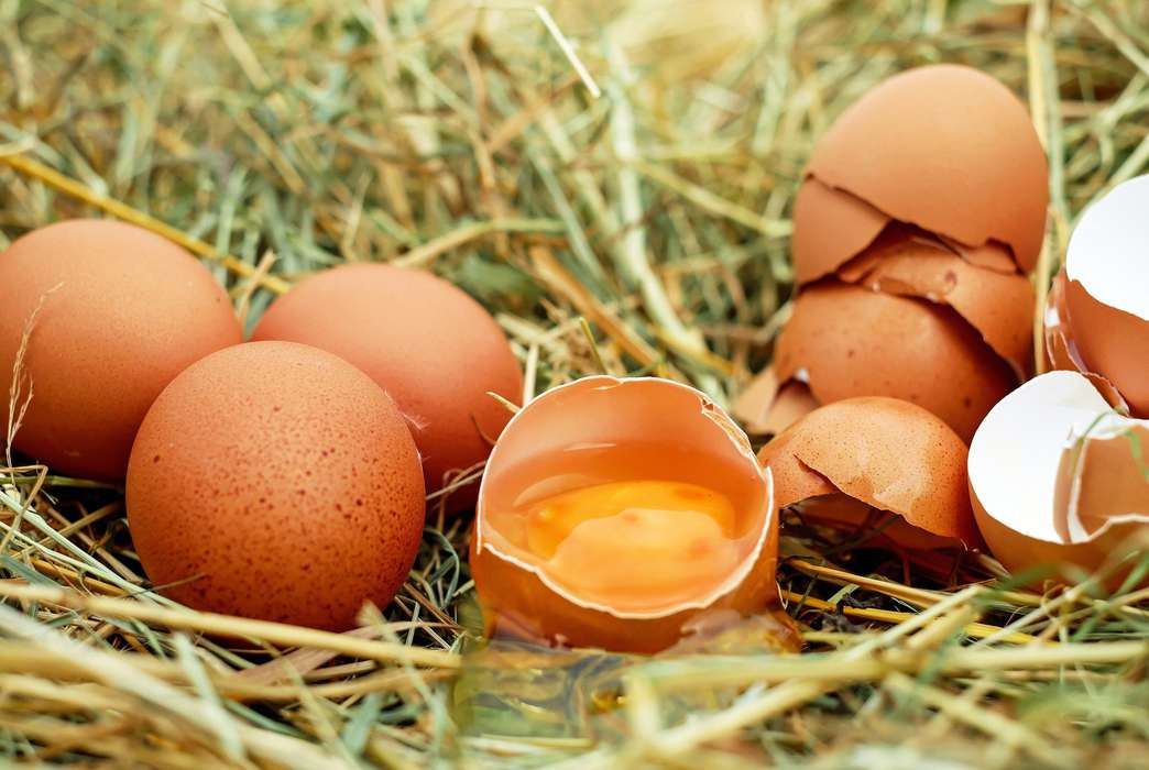 Eggshell membrane might have a use beyond protecting your breakfast. (Pixabay/Couleur)