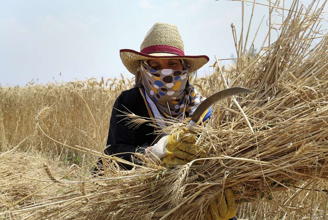 Female farmers need child care as much as their white-collar counterparts. (AP Photo/Adel Hana)