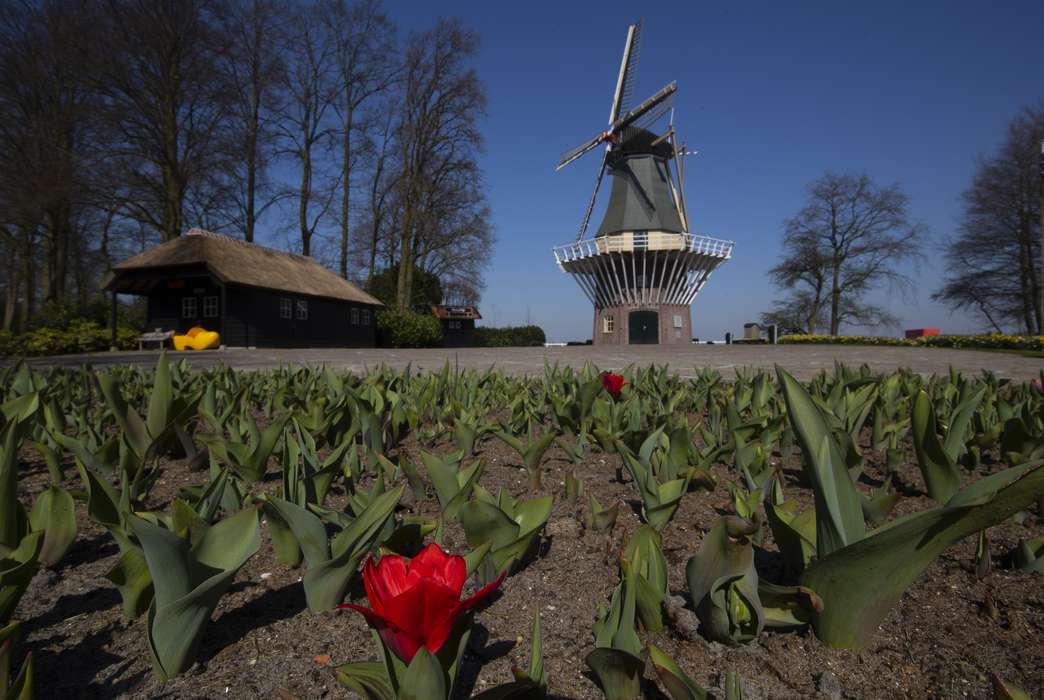 Plants and soil are limited in how much they can contribute to curbing greenhouse gas emissions. (AP Photo/Peter Dejong)