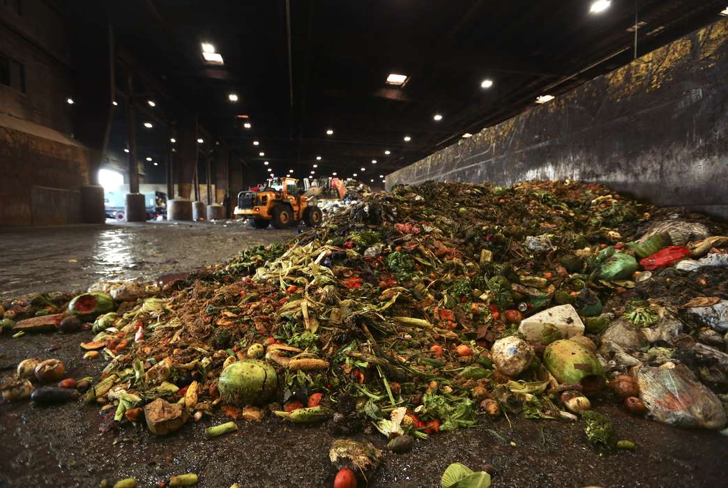 Almost a fifth of available food goes to waste. (AP Photo/Steven Groves)