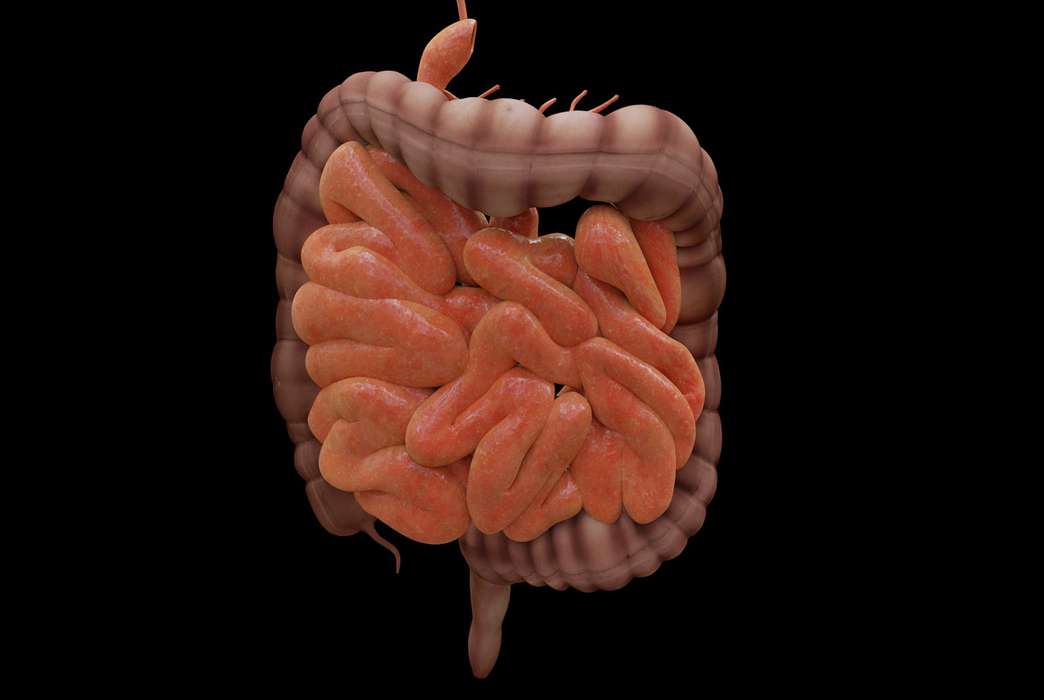 A gut parasite can lead to major illness elsewhere. (Pixabay/JimCoote)