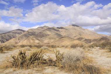A warming climate may be to blame for increased vegetation loss in desert ecosystems such as Anza-Borrego Desert State Park. (Stijn Hantson)
