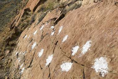 A portion of the tracksite “The Overlook,” with the individual prints marked by baking flour. (Anton Wroblewski)