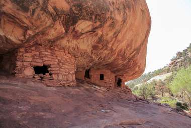 Ancient sites with more architectural features, like these cliff dwellings in Bears Ears National Monument, are still highly influential in plant life today. (Shutterstock)