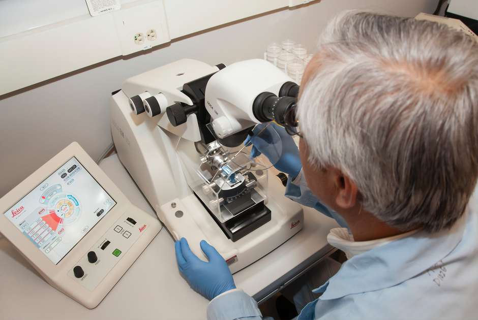 A researcher examines a specimen in a laboratory. (National Cancer Institute, Unsplash)