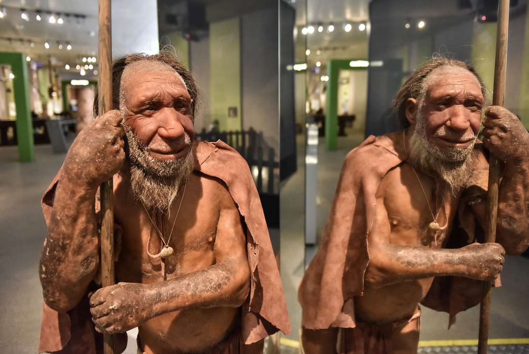 More detail has been filled in for the history of Eurasian Neanderthals. (AP Photo/Martin Meissner)