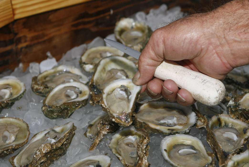 One species of oyster seems to be shrugging off ocean acidification. (AP Photo/Phil Sears)