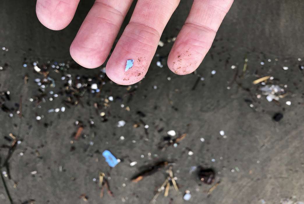 Microplastics might get easier to find. (AP Photo/Andrew Selsky)