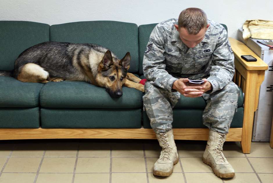 PTSD sufferers are among those more likely to attempt suicide. (AP Photo/Ed Andrieski)