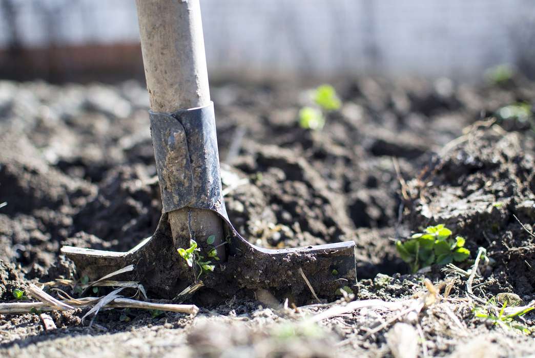 Soil protects humans from tons of contaminants. (Pixabay/Goumbik)